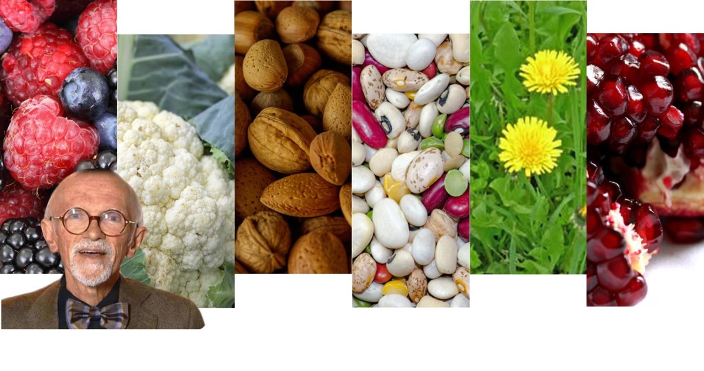 Berrino;Franco Berrino; Nutrizione;Alimentazione;Macrobiotica;Tumori;Epidemiologo;INT IRCCS;Istituto tumori Pascale; Pascale Napoli;la Grande via; Via del cibo;cibo;via del movimento;via della meditazione;meditazione;movimento; 