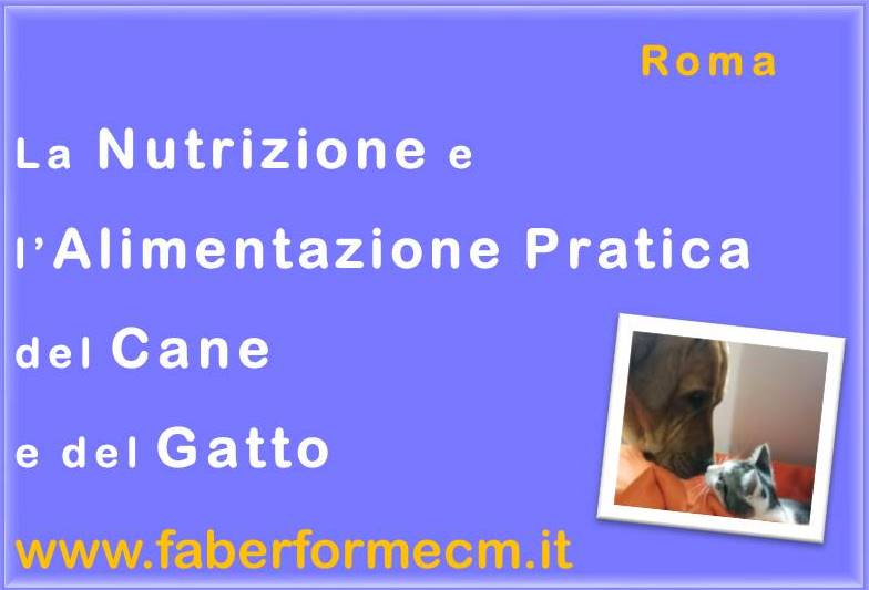 nutrizione Roma