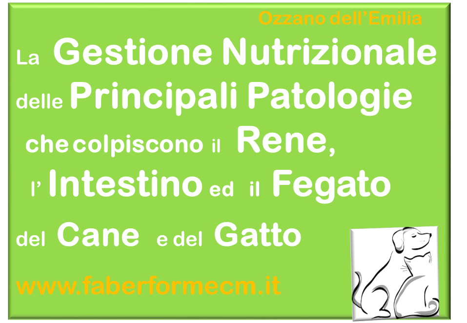 Gestione ozzano