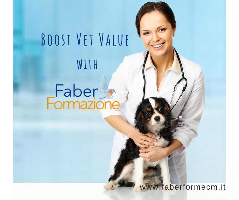 boost vet value with faber formazione