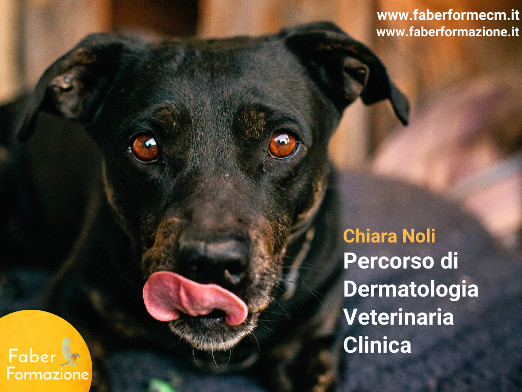 Percorso di dermatologia veterinaria clinica 2