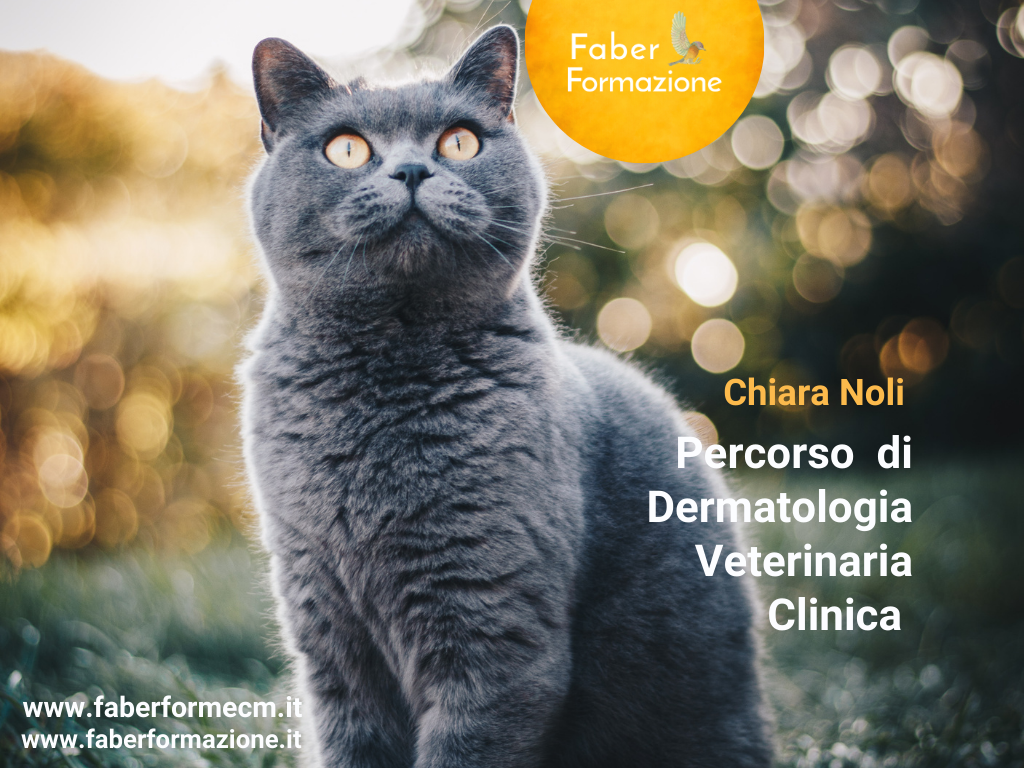 Percorso di dermatologia veterinaria clinica 4