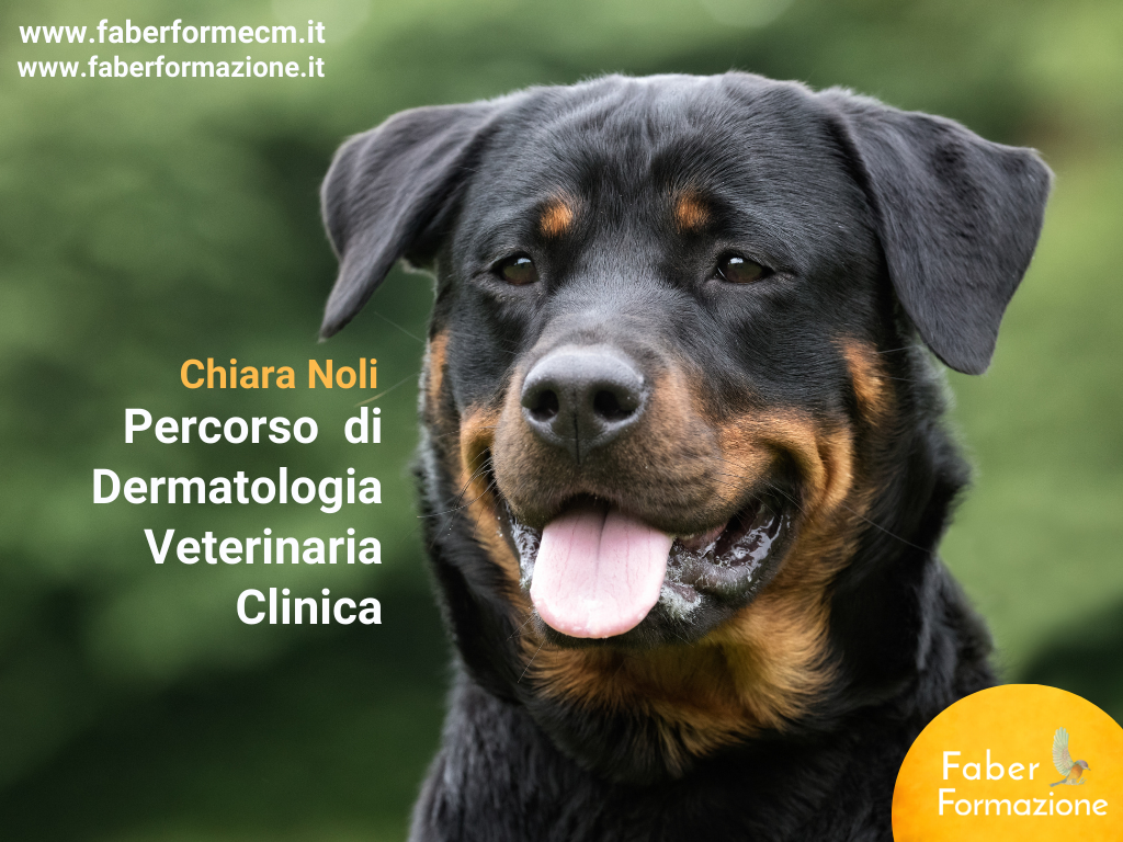 Percorso di dermatologia veterinaria clinica 8