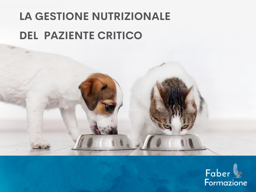 LA GESTIONE NUTRIZIONALE DEL PAZIENTE CRITICO