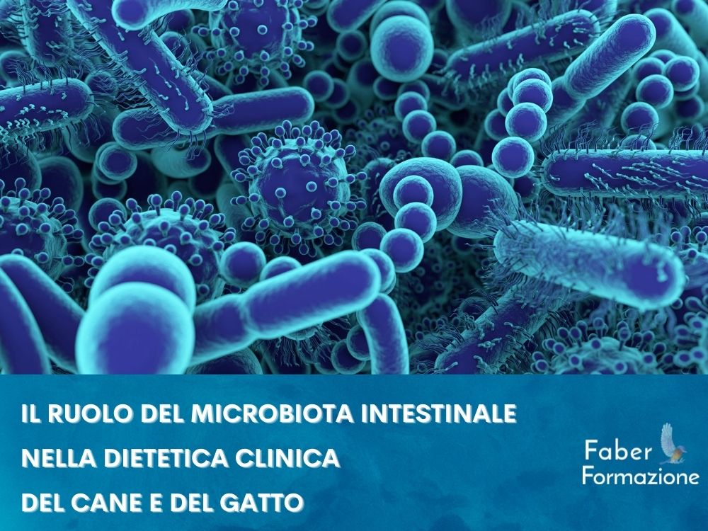 Microbiota cane e gatto