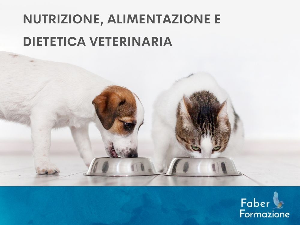 Nutrizione, Alimentazione e Dietetica del Cane e del Gatto