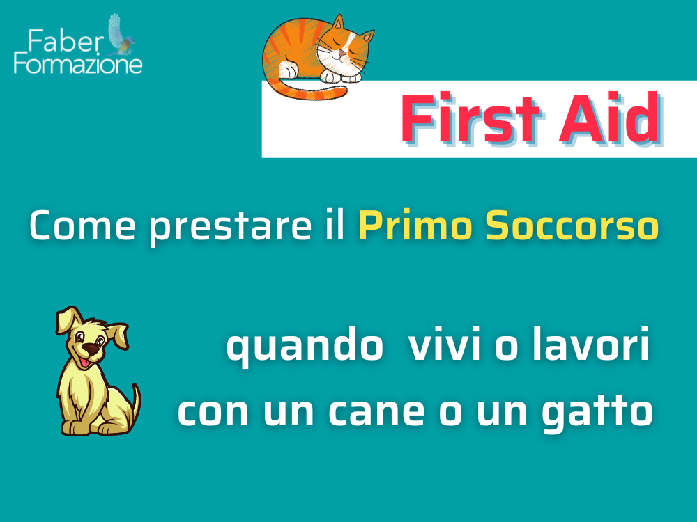 come prestare primo soccorso a n cane o un gatto