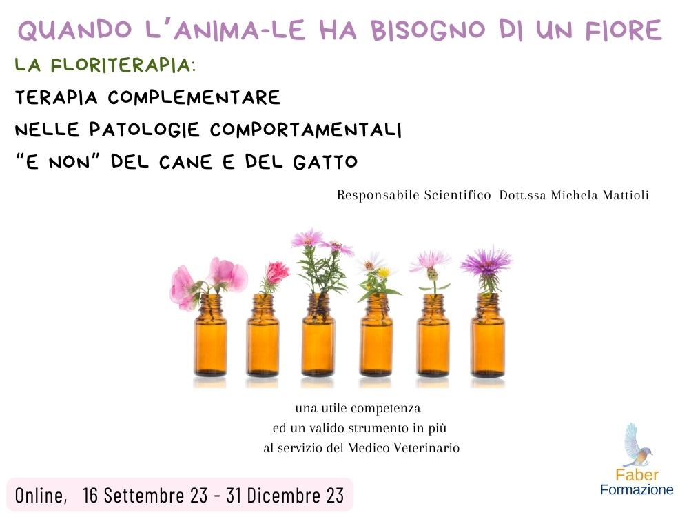 Per sito faberformecm 1000750 (2)