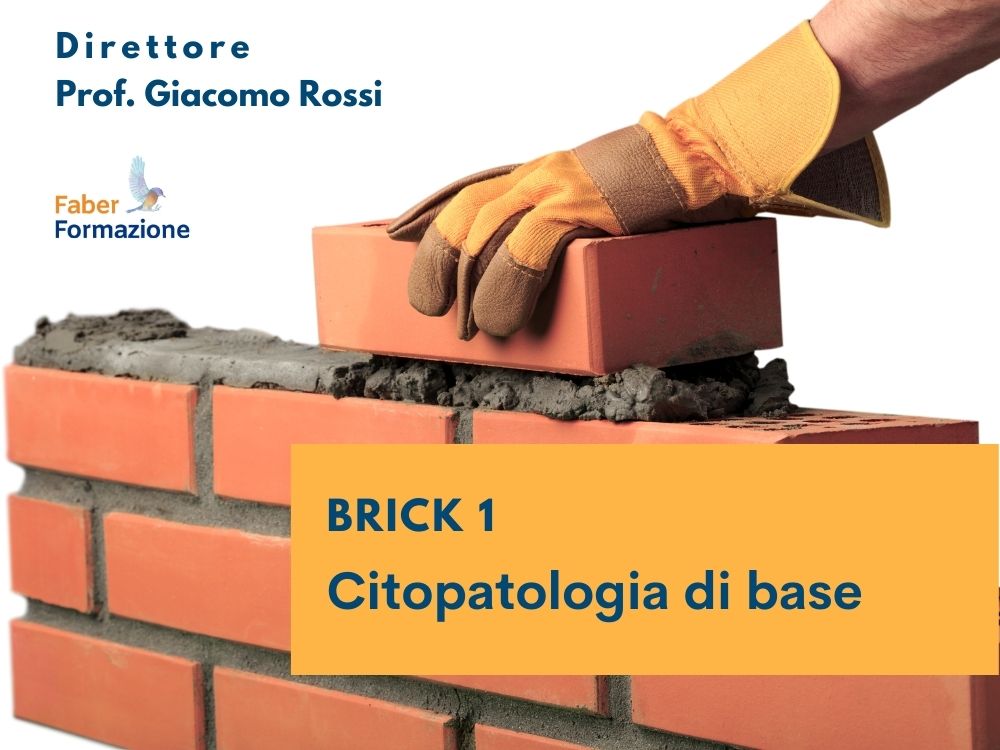 Citopatologia Diagnostica brick 1