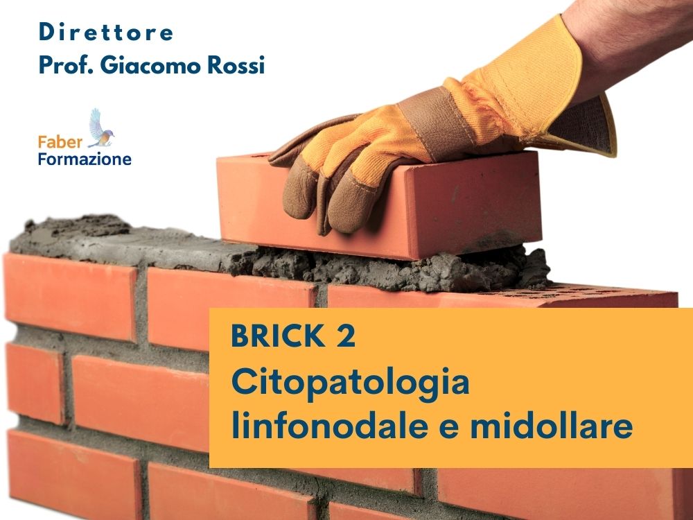 Citopatologia Diagnostica - brick 2