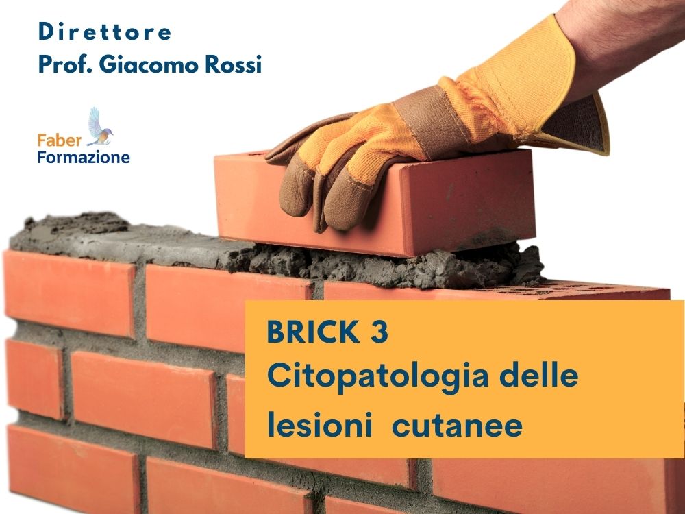 Citopatologia Diagnostica brick 3