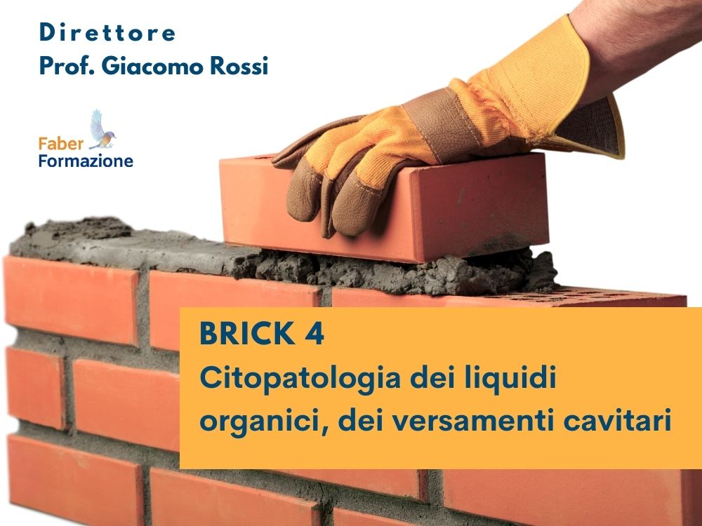 Citopatologia Diagnostica - brick 4